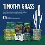 Standlee Premium Timothy Grass Grab & Go Compressed Bale