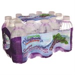 Fruit Splash Junior Grape Flavored Water, 10 oz, 15 pack
