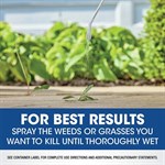 Roundup Weed & Grass Spray with Comfort Wand, 1 Gal