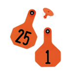 Ytex Numbered 2 Piece Tag, Medium,Orange, 25 count, 26 thru 50