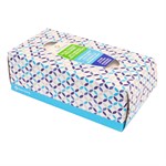 Clean Living Facial Tissue, 160 Count
