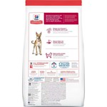 Hill's Science Diet Dry Adult Dog Food- Chicken and Barley, 38.5 lb