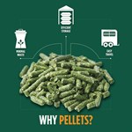 Standlee Premium Alfalfa/Timothy Pellets, 40 lbs