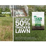 Scotts Turf Builder Thick'R Lawn Tall Fescue Mix, 12 lb.