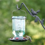 More Birds 25 oz. Mason Jar Hummingbird Feeder