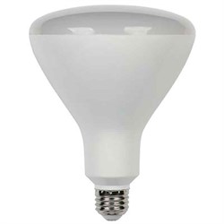 Light Bulbs Image