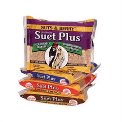 Suet & Seed Cakes Image