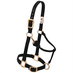Halters & Leads Image