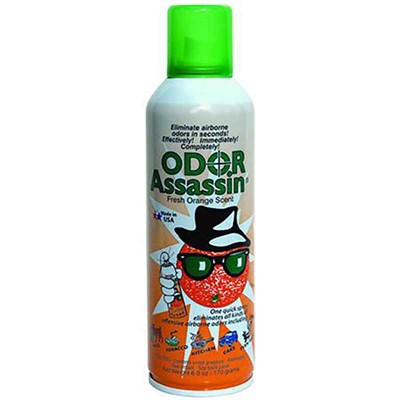 Odor Assassin Fresh Orange Scent Spray, 6 oz