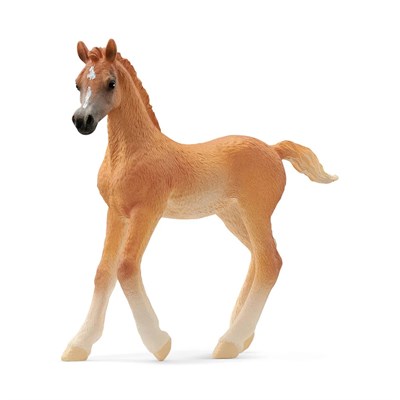 Schleich Arabian Foal