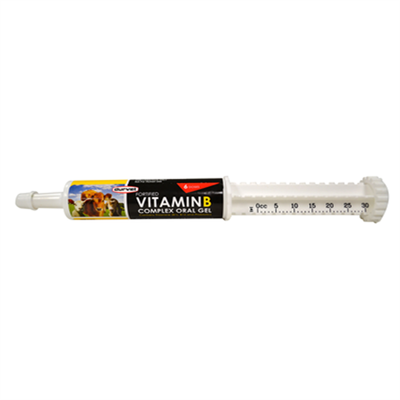 Durvet Vitamin B Complex Oral Gel, 30 ML