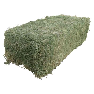 Square Grass Hay Bale
