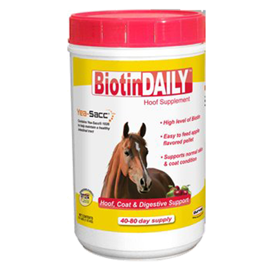 Durvet Biotin Daily Hoof Supplement for Horses, 2.5 lbs