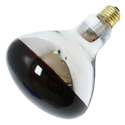 Westinghouse Red Heat Lamp Light Bulb