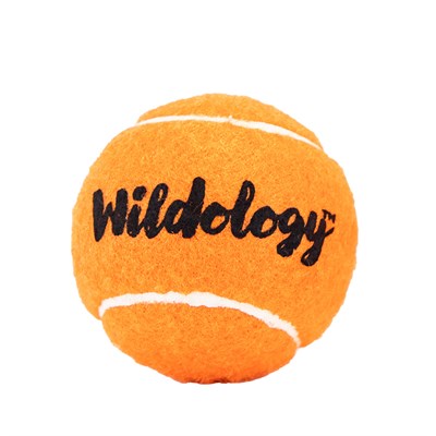 Atwoods/Wildology Dog Toy- Tuff Ball, 4 in