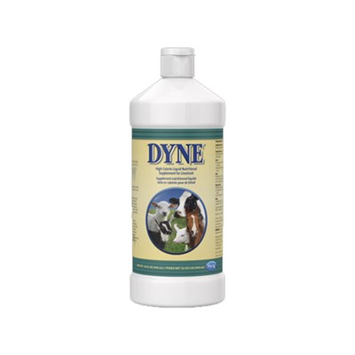 Dyne High Calorie Liquid Nutritional Supplement for Livestock, 32 oz
