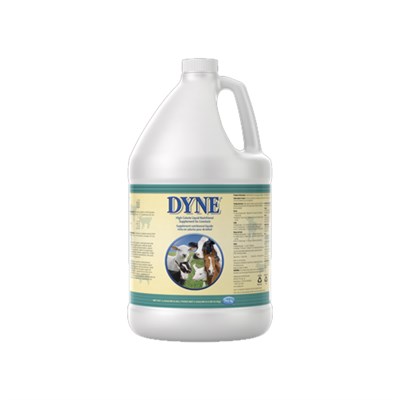 Dyne High Calorie Liquid Nutritional Supplement for Livestock, 1 gal