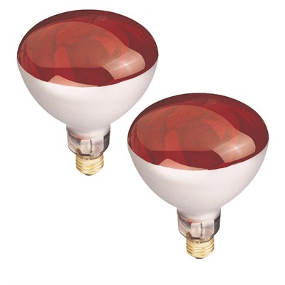 Westinghouse Lighting 250 Watt R40 Incandescent Red Heat Lamp Bulb, 2 pack