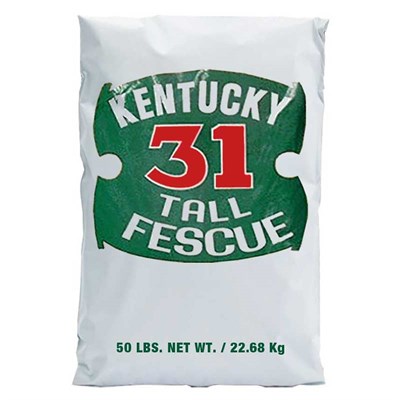 Kentucky 31 Tall Fescue Grass Seed, 50 lbs