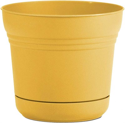 Bloem 12-in Saturn Planter with Saucer, Earthy Yellow