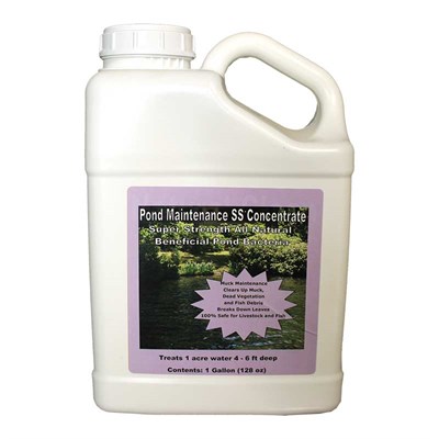 Pond Maintenance SS Concentrate, 1 gallon