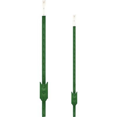 6-ft Green T-Post