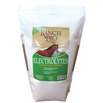 Ranch Pro Apple Flavor Electrolytes Powdered Supplement, 5 lbs
