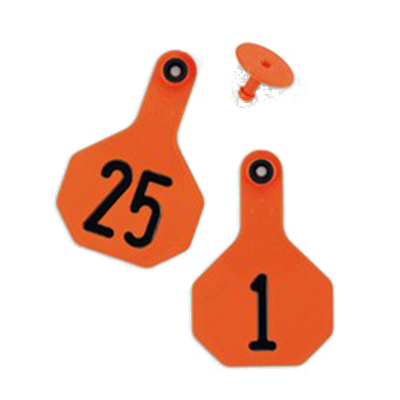 Ytex Numbered 2 Piece Tag, Medium,Orange, 25 count, 1 thru 25