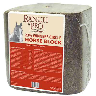 Ranch Pro Winners Circle 23% Horse Block