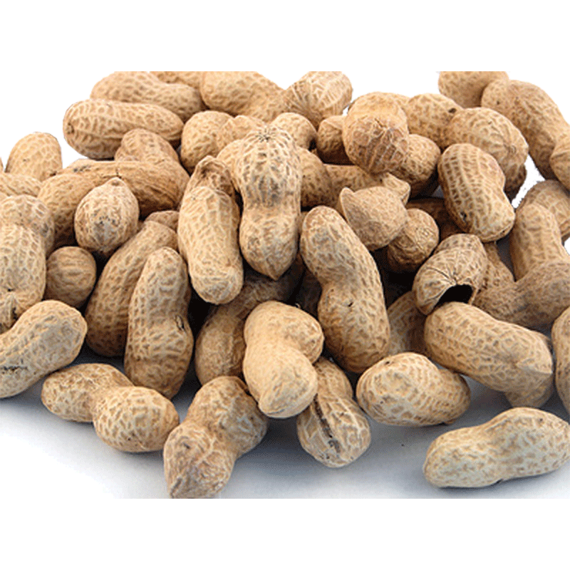 Atwoods Salted Peanuts in the Shell, Sold by the Pound