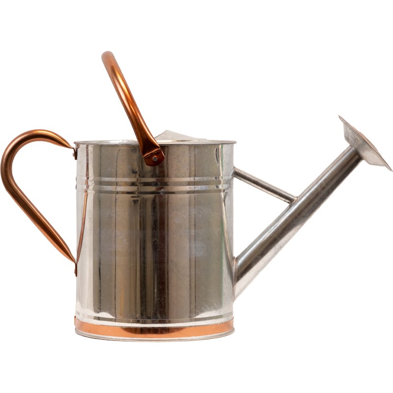 Galvanized Steel 2 Gallon Watering Can
