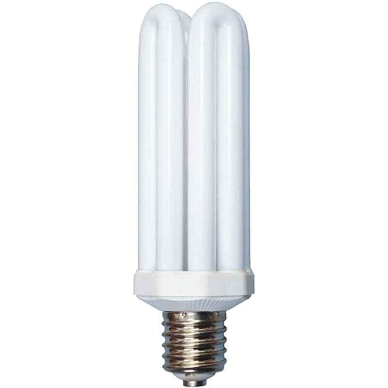Designers Edge L765 65W Fluorescent Light Bulb, 4U Mogul Base