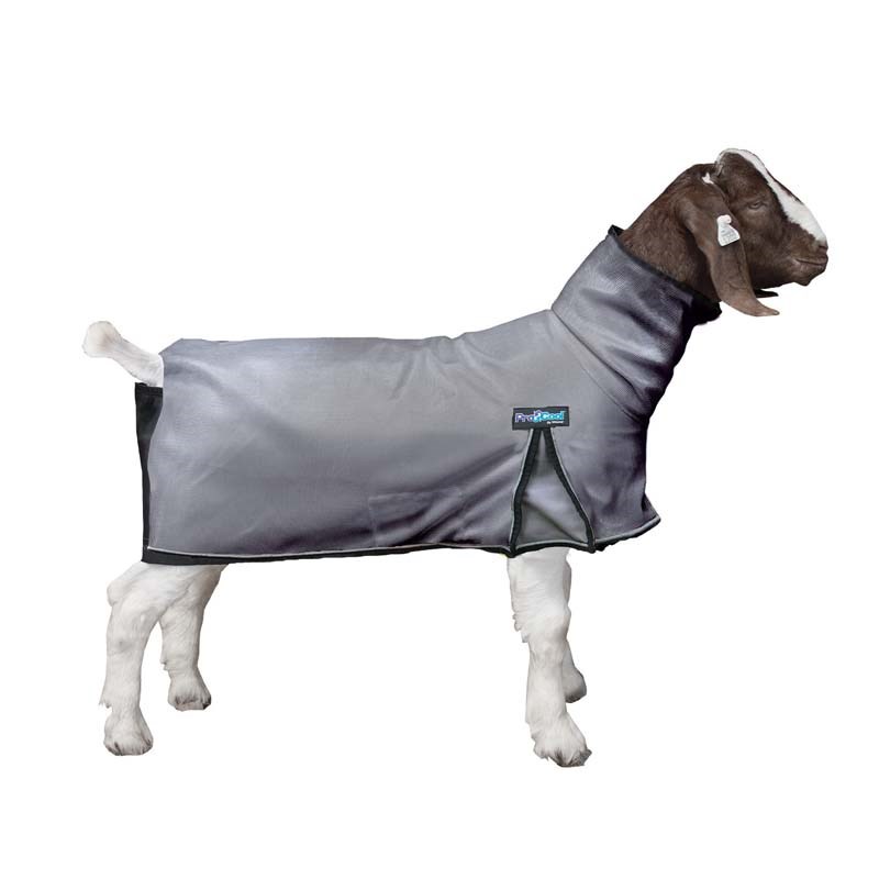 Weaver Livestock ProCool Goat Blanket with Reflective Piping, Large, Gray