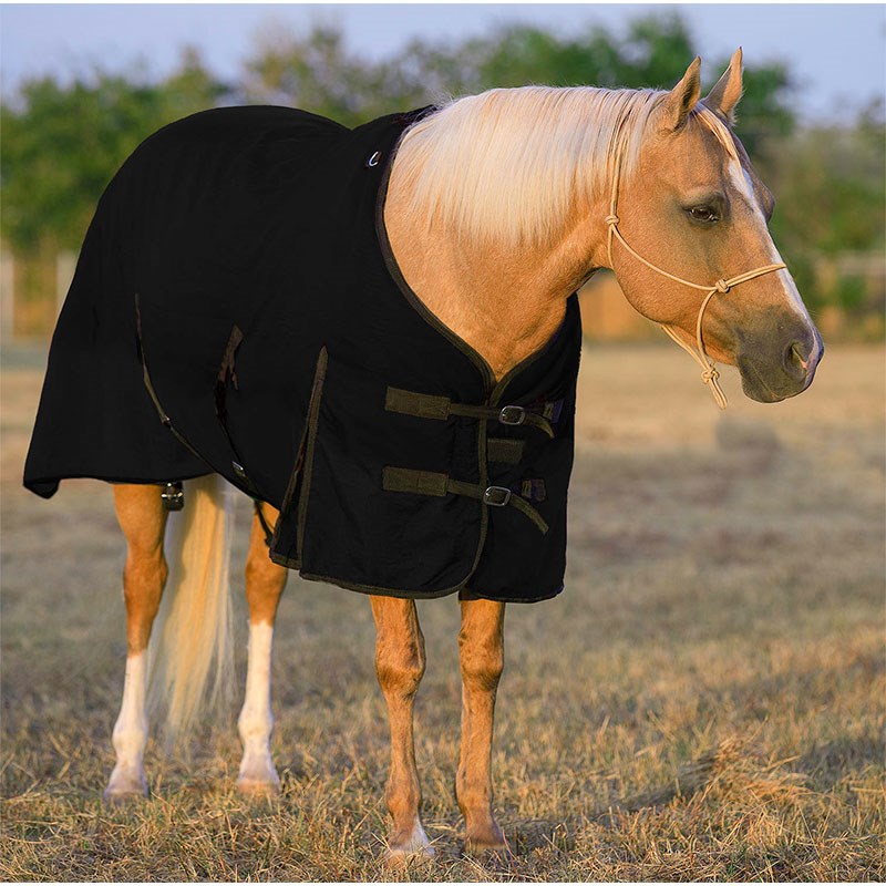 Mustang Manufacturing Manufacturing Turnout Horse Blanket, Medium