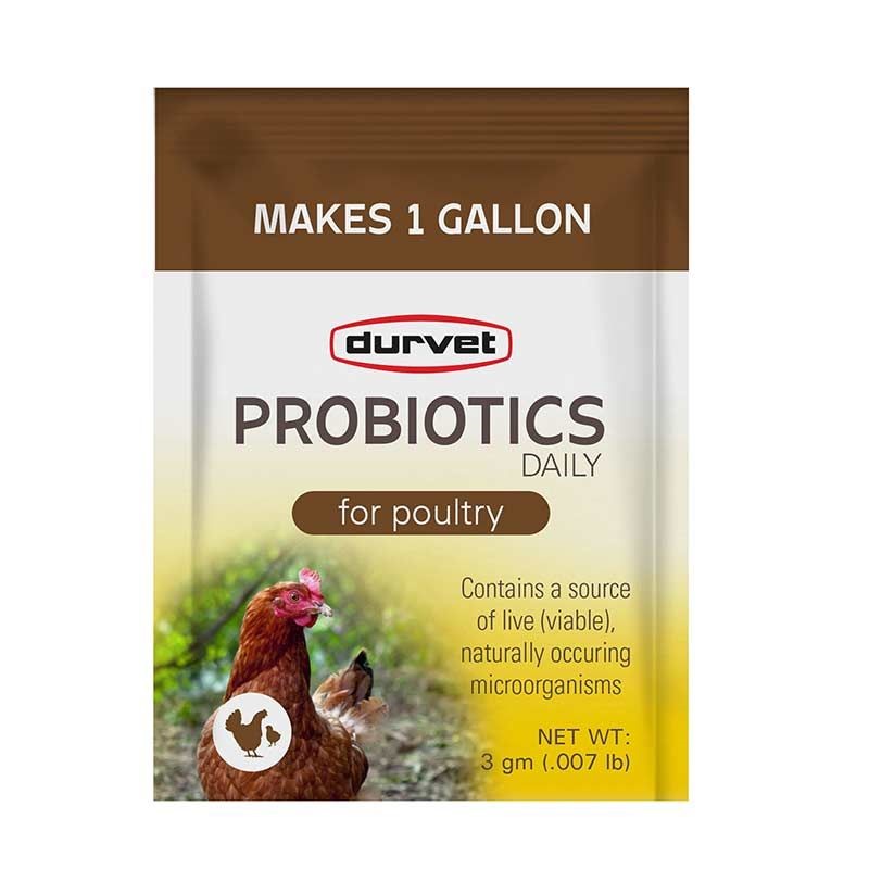 Durvet Probiotics Daily for Poultry, Single Serve