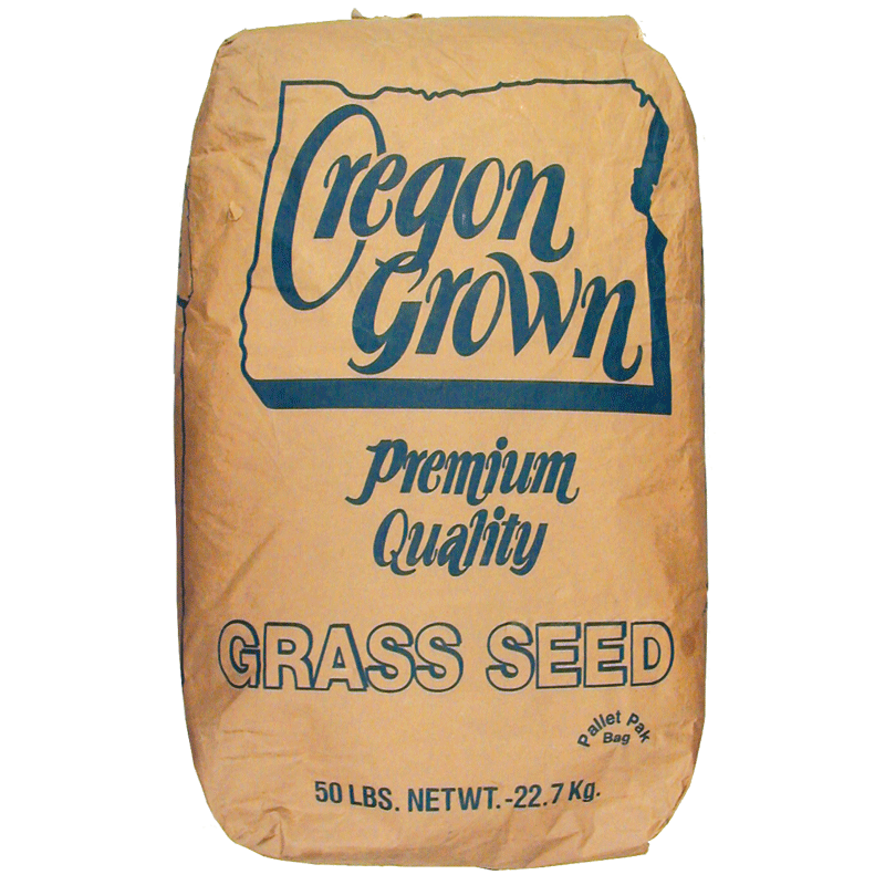 Oregon Grown Annual Rye Grass Seed, 50 lbs