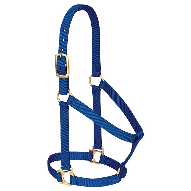 Weaver Leather Basic Non-Adjustable Nylon Halter, Blue, 1-inch Average Horse