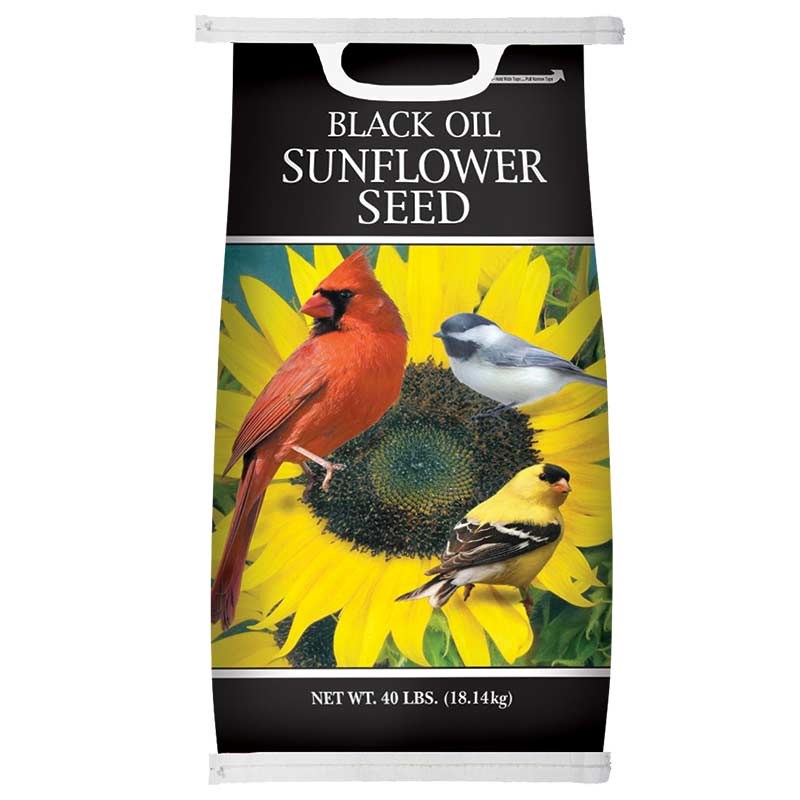 Atwoods Black Oil Sunflower Seed, 25 LB