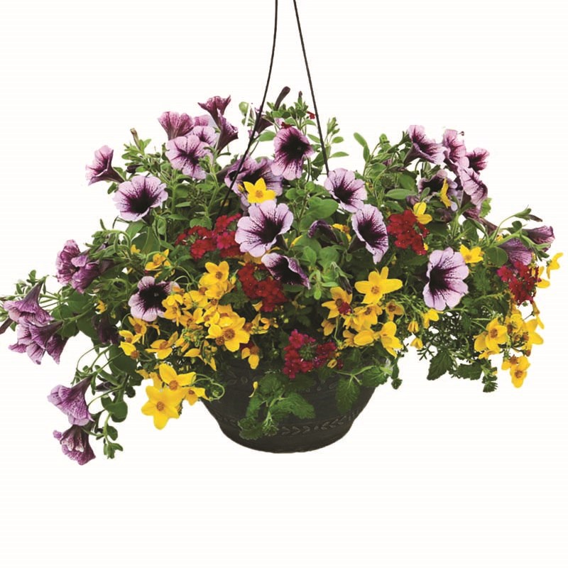 14-inch Hanging Plant Basket