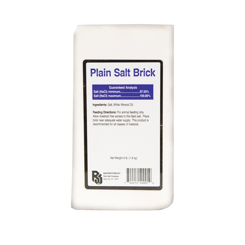 Plain White Salt Brick, 4 lbs