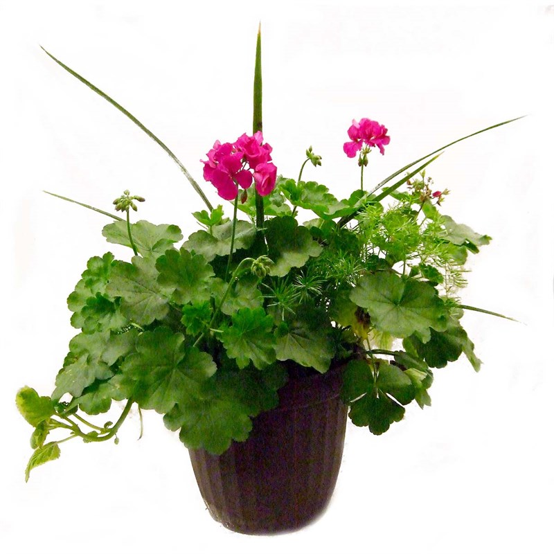 12-inch Spring Garden Flower Pot