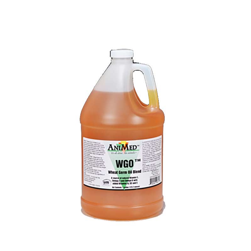 Animed Wheat Germ Oil Blend, 1 gallon