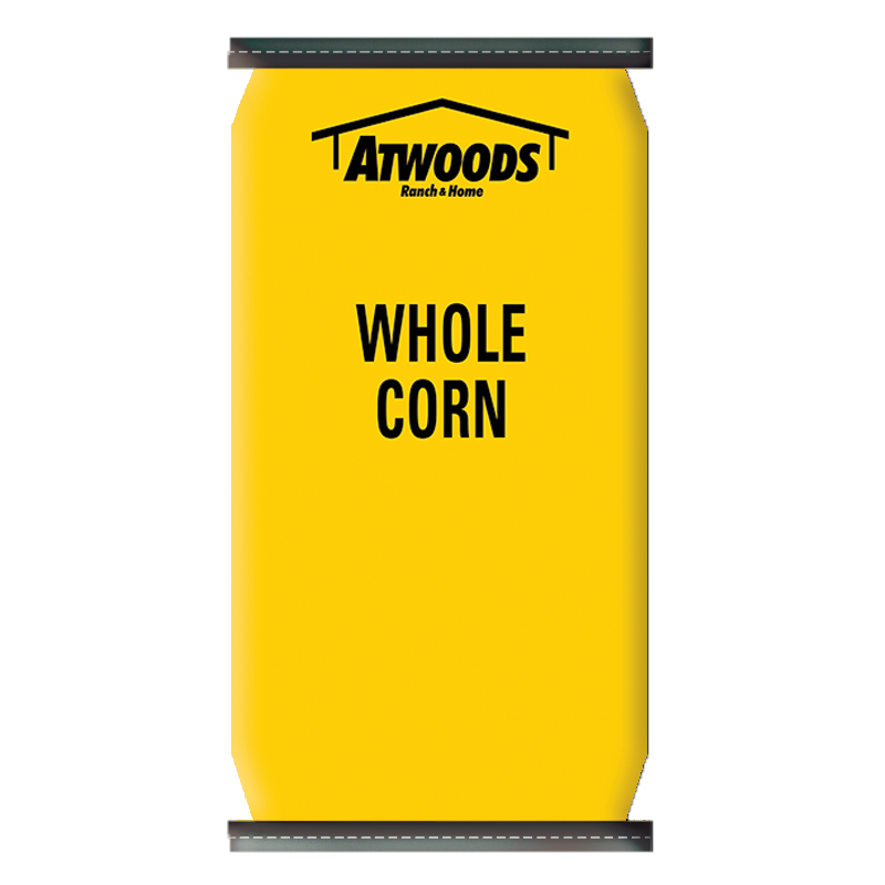 Atwoods Whole Corn, 40 lbs
