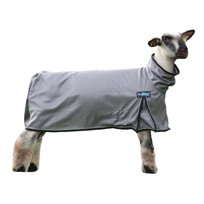 Weaver Livestock ProCool Sheep Blanket with Reflective Piping, Medium, Gray