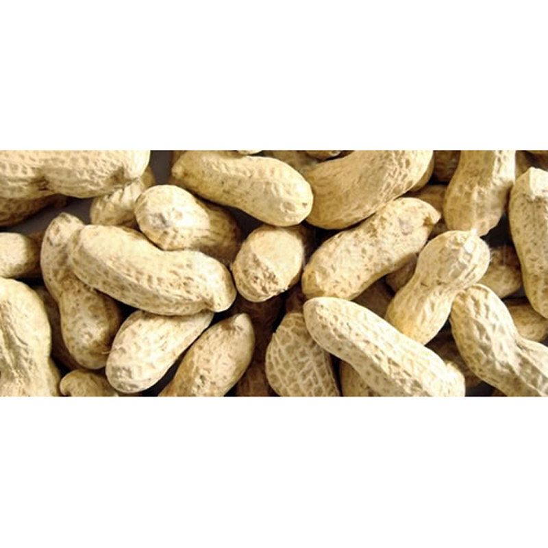 Atwoods Salted Inshell Peanuts, 1 lbs