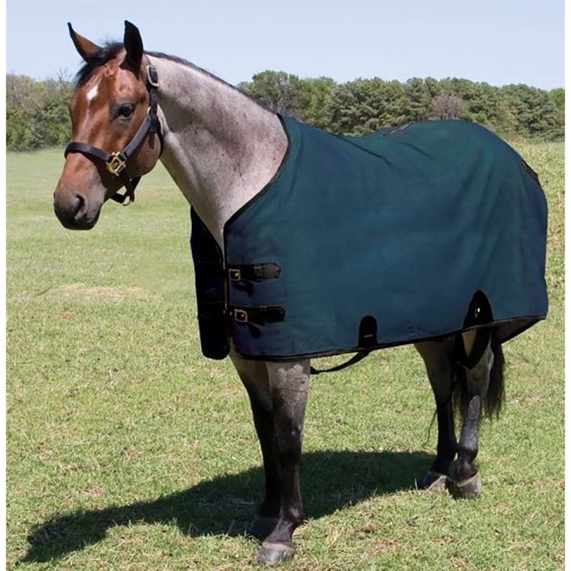 Mustang Manufacturing Canvas Turnout Blanket, 76-in