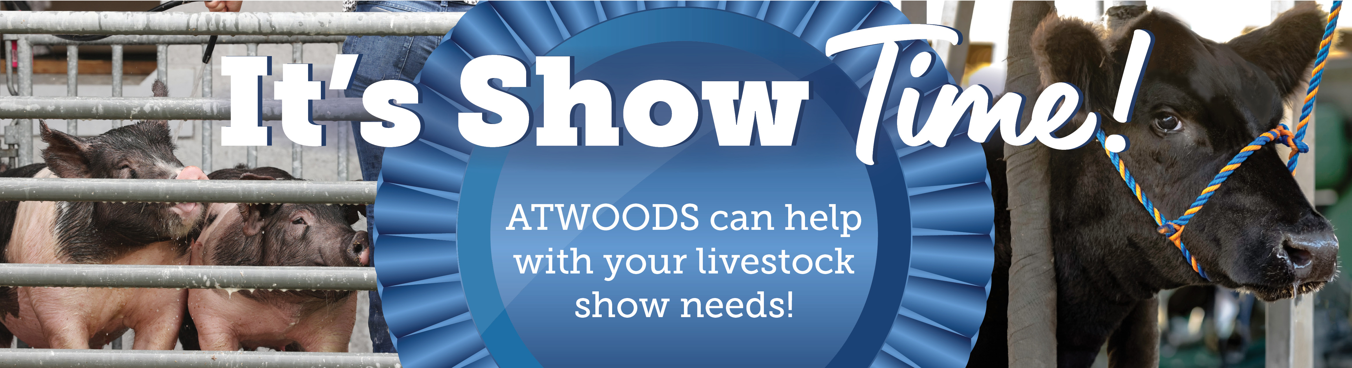 It's Show Time! Atwoods can help with your livestock show needs!
