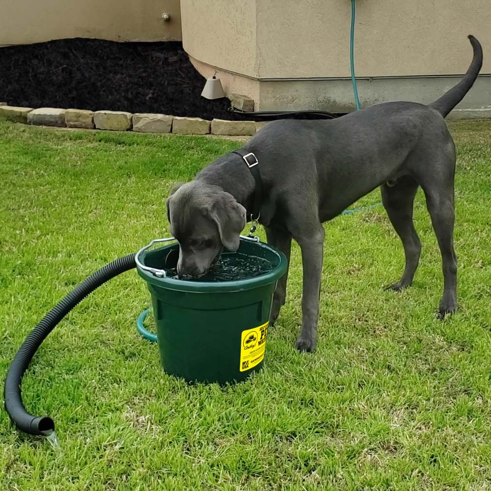 Cowboy's Self-Cleaning Pet Waterer, 20 qt